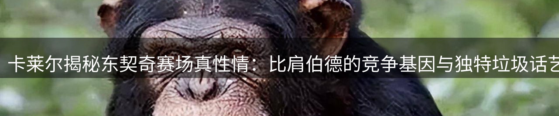 赛事资讯