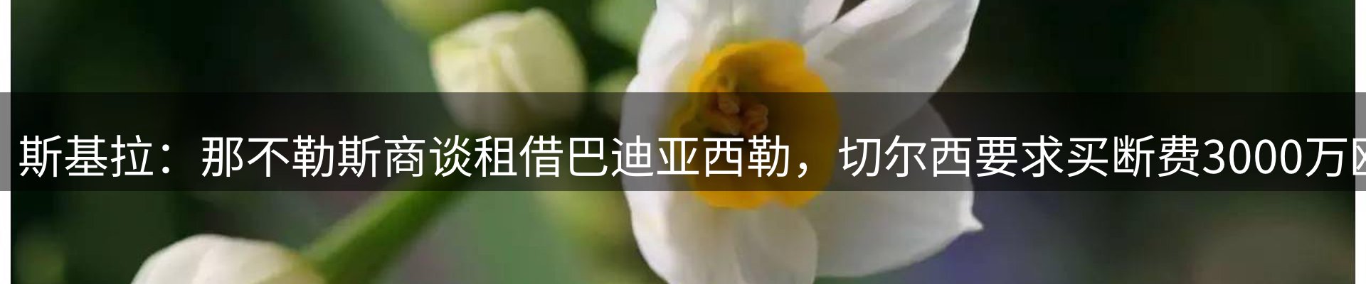 赛事资讯
