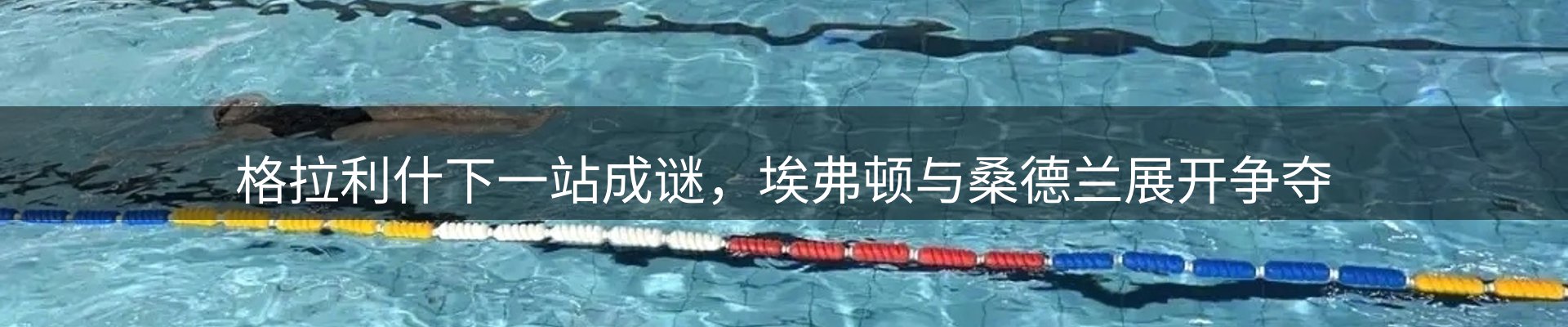 焦点集萃