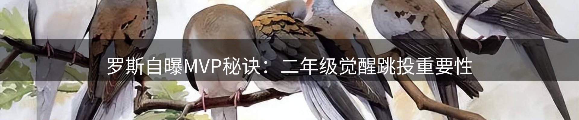赛事资讯