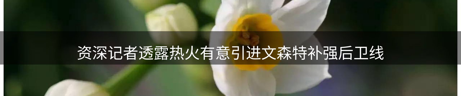 赛事资讯